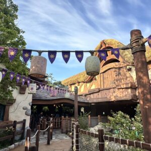 Rapunzel’s Lantern Festival