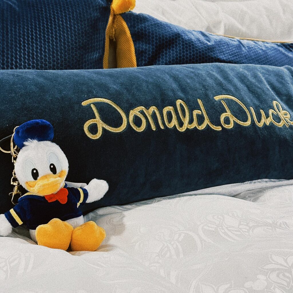 Donald Duck Celebration Room