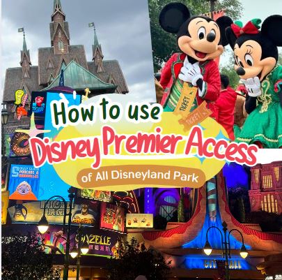 What is Disney Premier Access tickets and and how to use it?