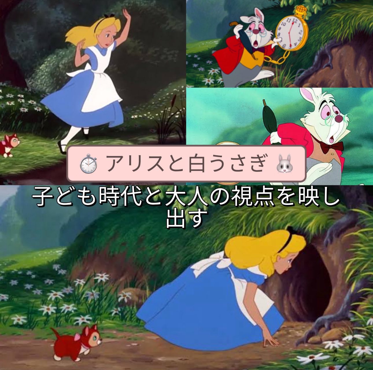 アリスと白うさぎ：対照的なキャラクターに映る人生哲学