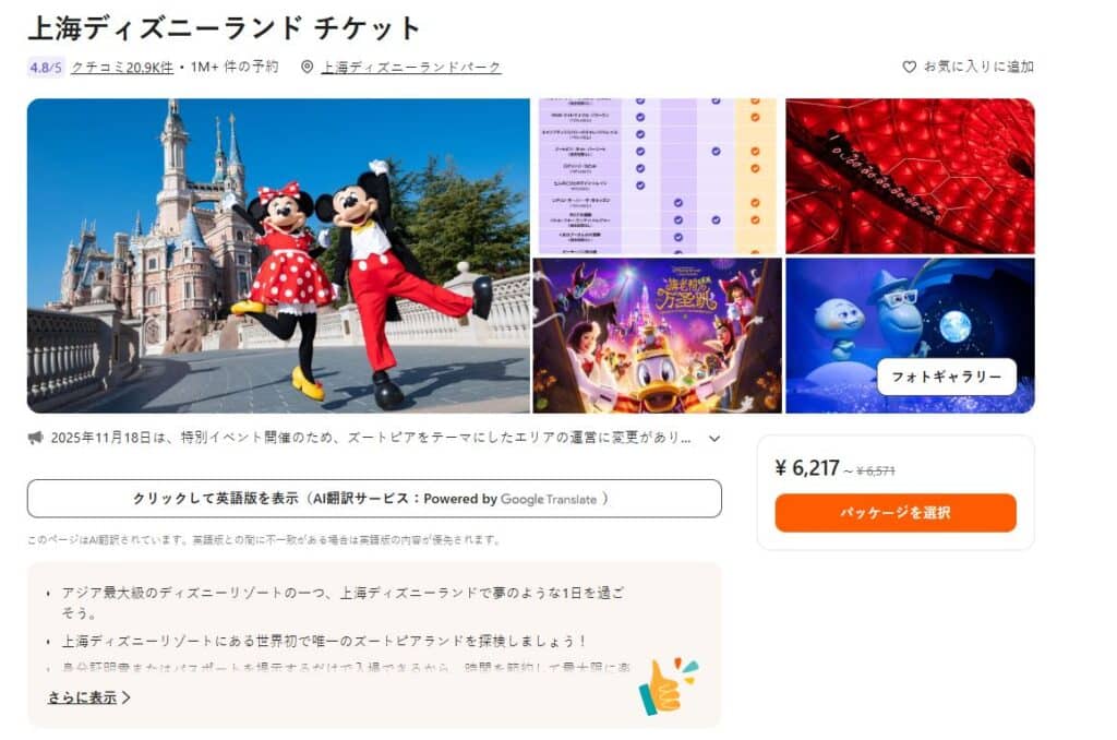 上海ディズニーランド チケット